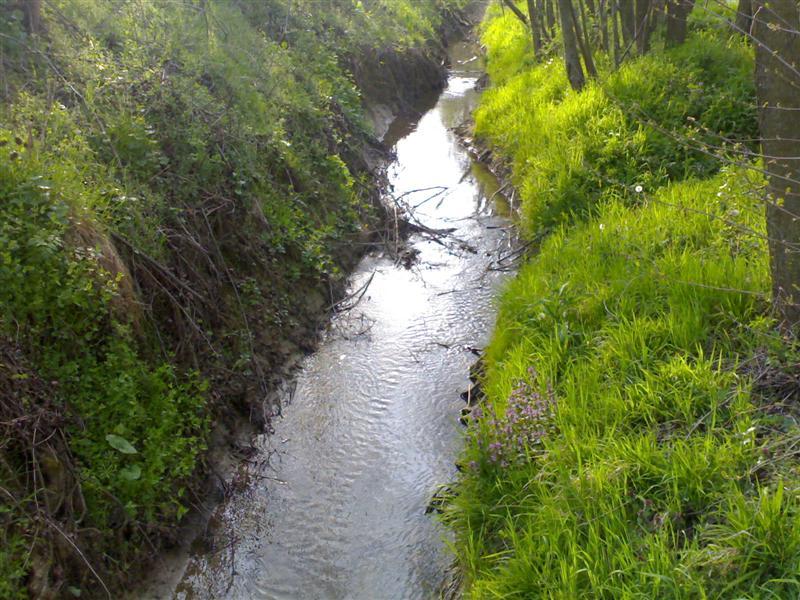 200704091822 .jpg